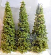 Model Scene MO150 Larch 140-160mm Trees