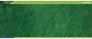 Hornby Skale Scenics R8848 Poly Fibre Strands Medium Green
