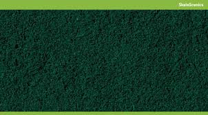 Hornby Skale Scenics R8887 Green Tufts Conifer Green Medium