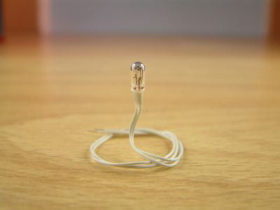 Expo A25020 10 x Clear Grain of Wheat 6 volt