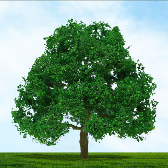 Tasma 004030 Oak Trees, (3pk), Height 1-1/2"-2" - N Scale