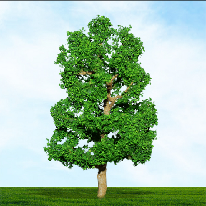 Tasma 004047 Sycamore, (4pk), Height 1-1/2"-2" - N Scale