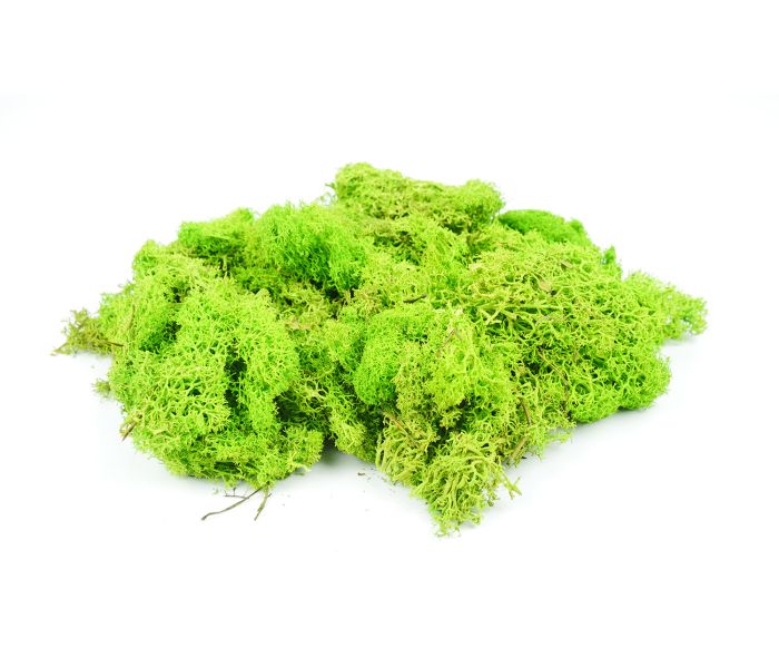 Gaugemaster GM1601 Lichen Light Green - 80g