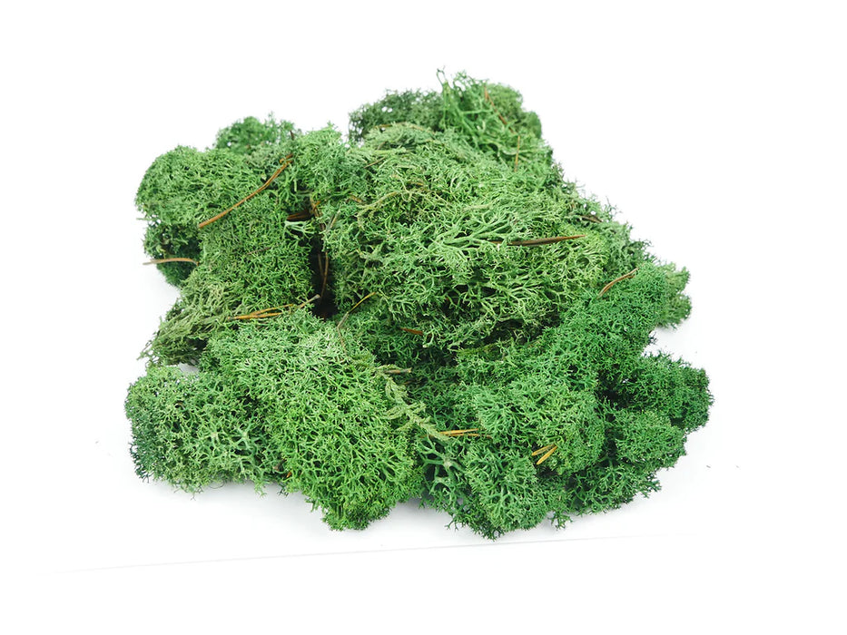 Gaugemaster GM1602 Lichen Dark Green - 80g