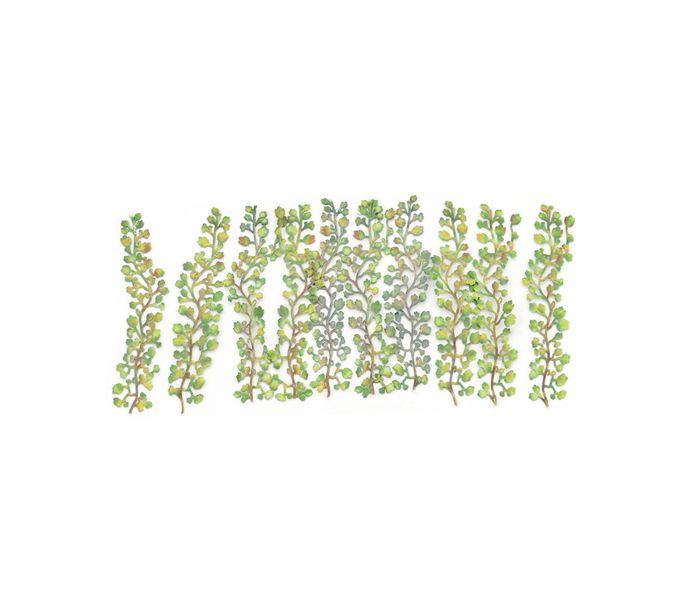 Gaugemaster GM1662 Virginia Creepers (12) Kit - OO Gauge