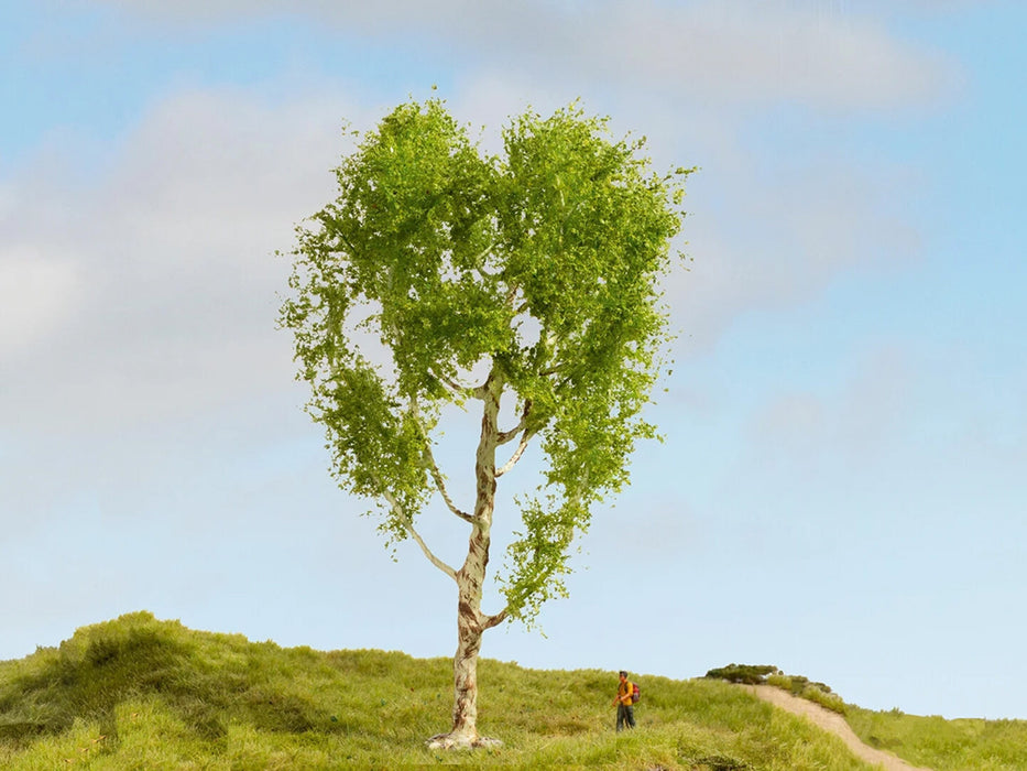 Noch 20125 Downy Birch Tree