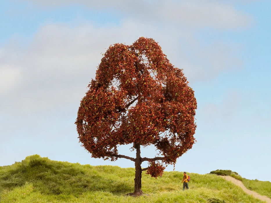 Noch 20150 Copper Beech