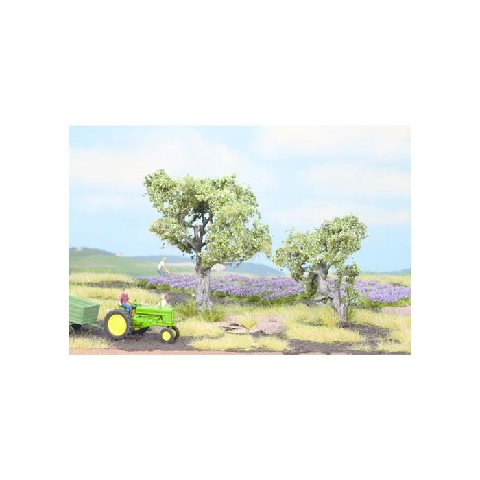 Noch 21995 Olive Trees (Profi Range) 6-9cm tall -Suitable for OO, HO, TT  Scales