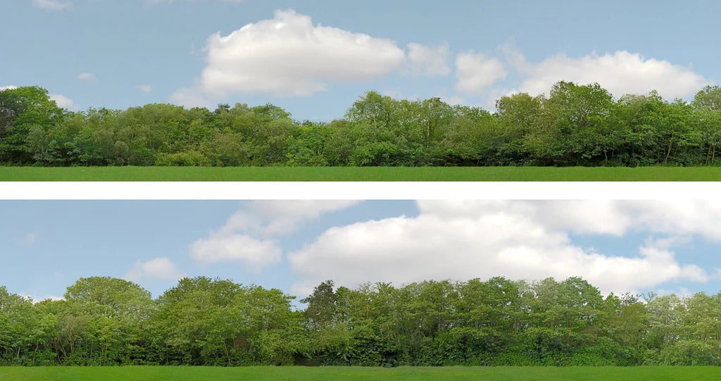 ID Backscenes 147A Trees OO Gauge 15" Backscene