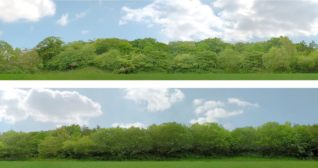 ID Backscenes 147B Trees OO Gauge 15" Backscene