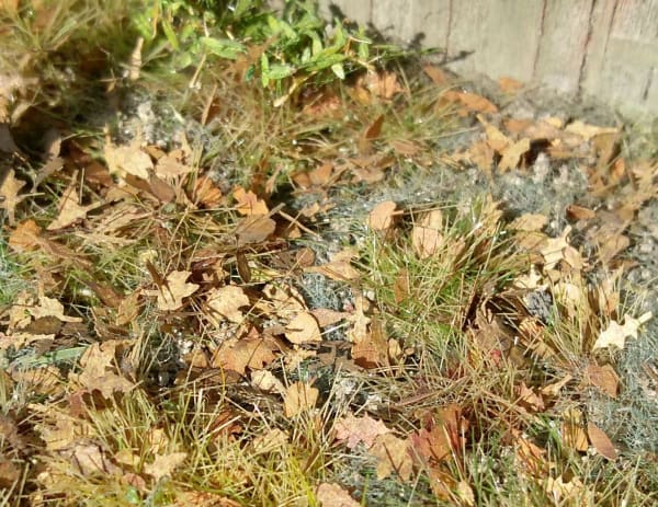 ModelScene L3-308 European Mixture Leaves - 1:32/1:35