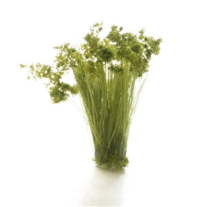 Woodland Scenics FS777 Medium Green Prairie Grass,