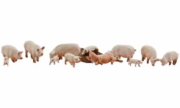 Scenic Accents A1957 Yorkshire Pigs - OO / HO Scale