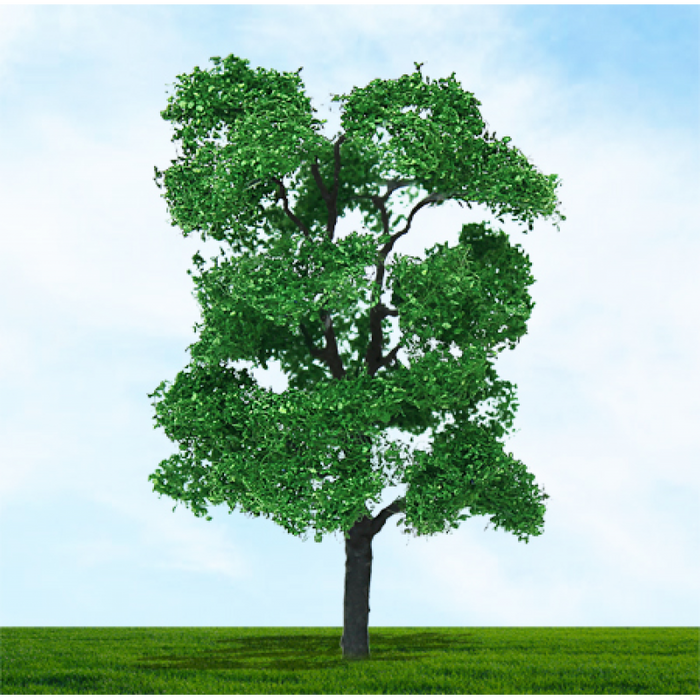 Tasma 003965 Ash Trees, 75mm & 100mm, (4pk) HO/OO Scale