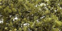 Woodland Scenics F1133 Olive Green Fine Leaf Foliage (75 cubic inches / 1229 cubic cm)