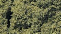 Woodland Scenics FC57 Light Green Foliage Clusters (Covers 832 cubic cm approx)