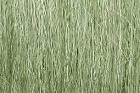 Woodland Scenics FG173 Light Green Field Grass