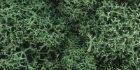 Woodland Scenics L162 Light Green Lichen (Bag)