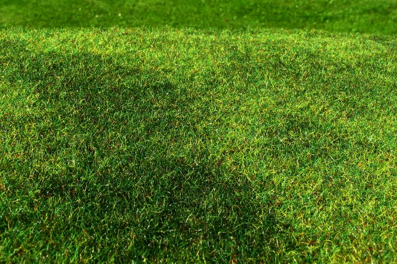 Model Scene F002 Grass Mat Cut Meadow - Early Summer (OO Scale)