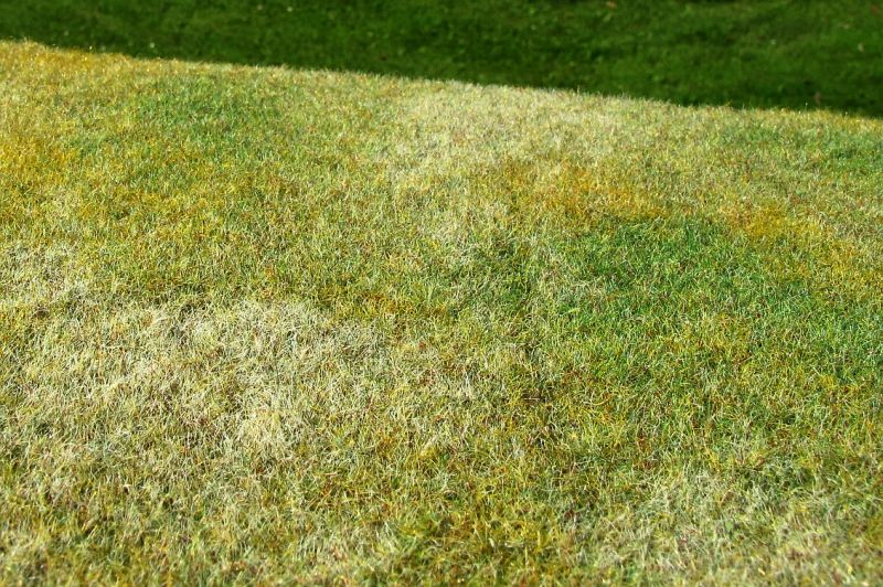 Model Scene F003 Grass Mat Cut Meadow - Late Summer (OO Scale)