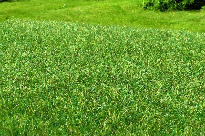 Model Scene F012 Grass Mat Wetland - Dark (OO Scale)