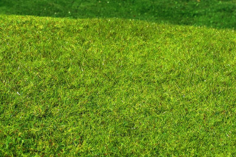 Model Scene F021 Grass Mat Spring Meadow - High Grown (OO Scale)