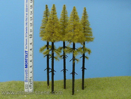 Model Scene MK154 Larch Trees (5) Medium with Trunk - Autumn (140mm - 160mm high)