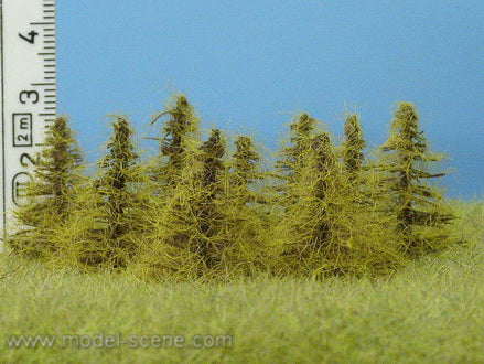 Model Scene MO034 Larch Trees Autumn Foliage 5mm - 35mm Tall (8 Trees)