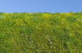 Model Scene F561 Grass Mat Blooming Meadow - Spring (OO Scale)