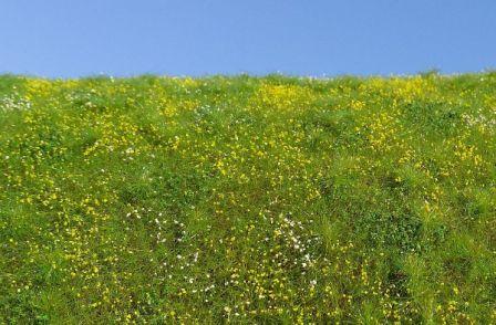 Model Scene F562 Grass Mat Blooming Meadow - Early Summer (OO Scale)