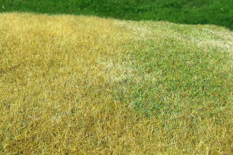 Model Scene F023 Grass Mat Late Summer - High Grown (OO Scale)