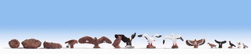 Noch 15775 Birds (12 per pack) & Nests (3 per pack) - OO / HO Scale