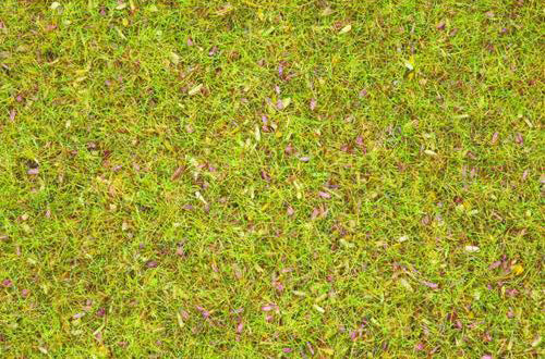 Noch 08155 Flowers Scatter Grass 2.5mm (120g)