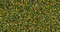 Noch 08400 Flower Meadow Scatter Material (42g)