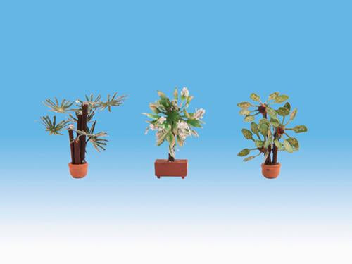 Noch 14023 Mediterranean Ornamental Plants (3) - OO Scale