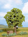 Noch 21690 Beech Tree (Profi Range) 13cm high (Suitable for OO,TT and N Scales)