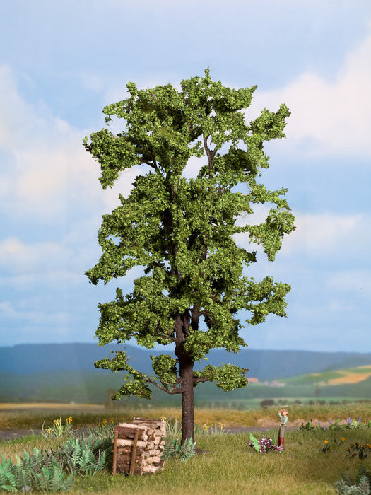 Noch 21780 Lime Tree (Profi Range) 18.5cm high (Suitable for OO,HO,TT and N Scales)