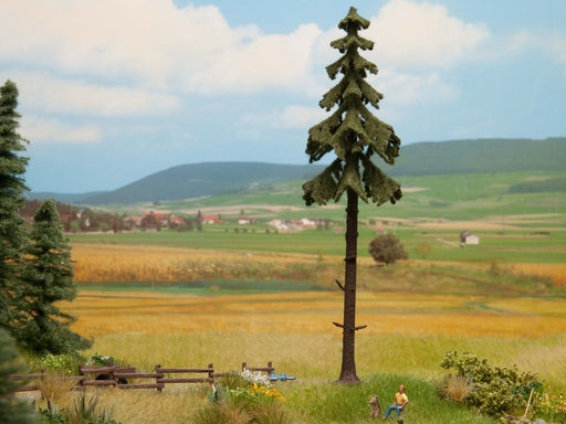Noch 21927 High Trunk Spruce Tree (Profi Range) 18.5cm high (Suitable for N,OO and TT Scales)