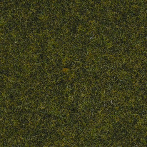 Noch 50220 Meadow Scatter Grass 2.5mm (100g)