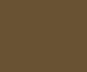 Railmatch 219 W.R. Brown Superior Authentic Colour Enamel Paint (15ml Jar)