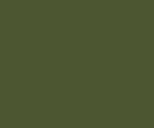 Railmatch 234 Engineering Olive - Superior Authentic Colour Enamel Paint (15ml Jar)
