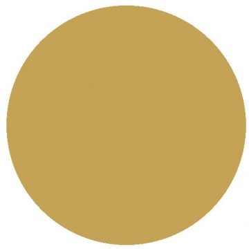 Railmatch 256 EWS Gold - Superior Authentic Colour Enamel Paint (15ml)