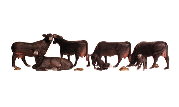 Scenic Accents A1955 Black Angus Cows - OO / HO Scale