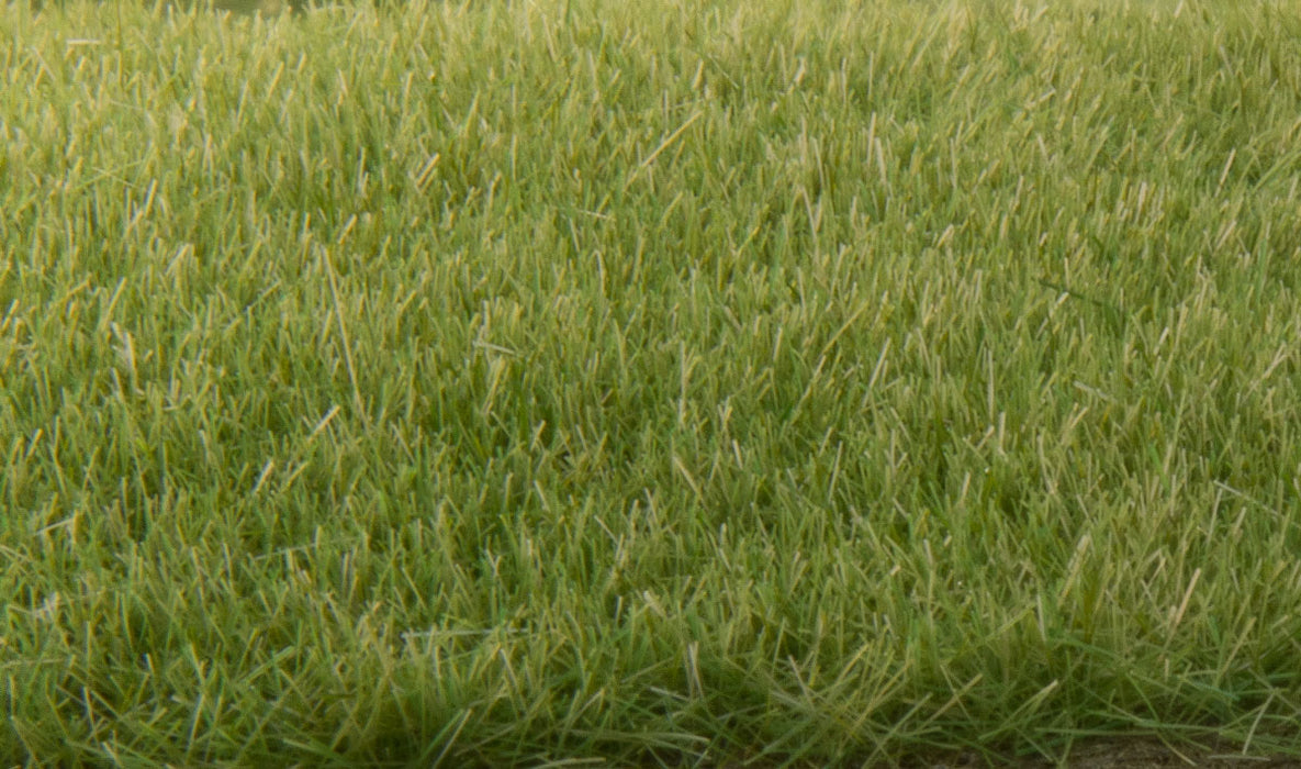Woodland Scenics FS618 Static Grass - Medium Green 4mm (42g bag)