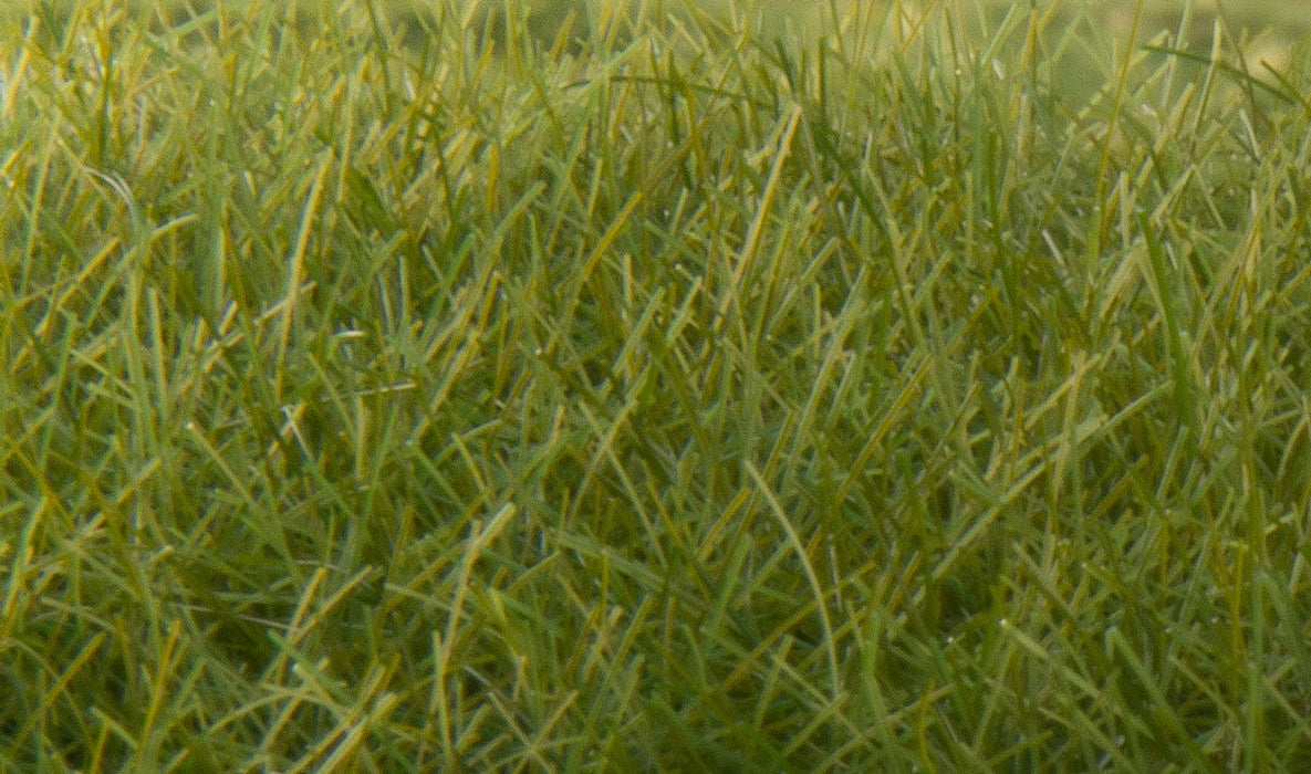 Woodland Scenics FS625 Static Grass - Dark Green 12mm (28g bag)