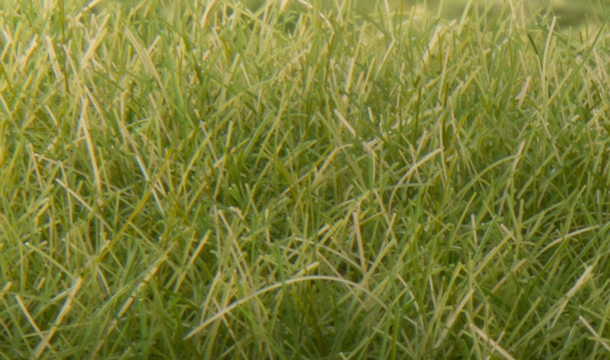 Woodland Scenics FS626 Static Grass - Medium Green 12mm (28g bag)