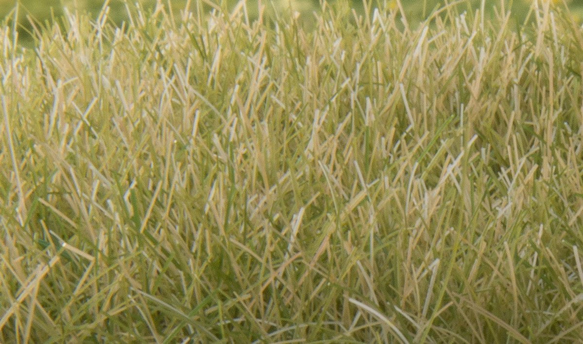 Woodland Scenics FS627 Static Grass - Light Green 12mm (28g bag)