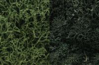 Woodland Scenics L168, Lichen Dark Green Mix