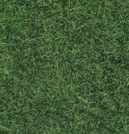 Noch 07102 Light Green Wild Grass - Static Grass 6mm (50g bag)