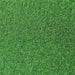 Tasma Products Grass Mat - Dark Green 85cm (50") x 125cm (34")